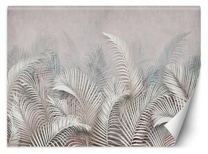 Fototapeta Palmové listy sivé Materiál: Vliesová, Rozmery: 200 x 140 cm