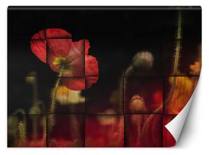 Fototapeta Červený makový kvet Materiál: Vliesová, Rozmery: 200 x 140 cm