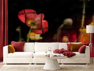 Fototapeta Červený makový kvet Materiál: Vliesová, Rozmery: 200 x 140 cm