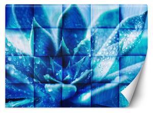 Fototapeta Modrý kvet Materiál: Vliesová, Rozmery: 200 x 140 cm