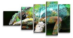 Sablio Obraz - 5-dílný Chameleón - 100x60 cm