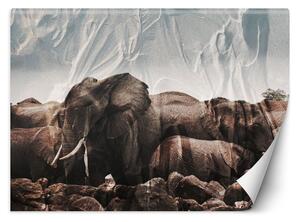 Fototapeta Slony v stáde Materiál: Vliesová, Rozmery: 200 x 140 cm