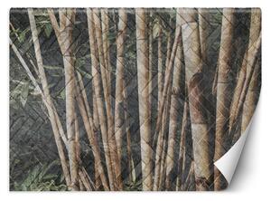 Fototapeta Bambusový les Materiál: Vliesová, Rozmery: 200 x 140 cm