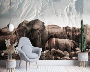 Fototapeta Slony v stáde Materiál: Vliesová, Rozmery: 200 x 140 cm