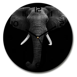 Sklenené hodiny okrúhle Africký slon pl_zso_30_f_49228540