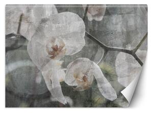 Fototapeta Orchidea vintage Materiál: Vliesová, Rozmery: 200 x 140 cm