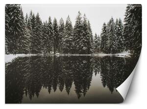 Fototapeta Jazero v lese v zime Materiál: Vliesová, Rozmery: 200 x 140 cm