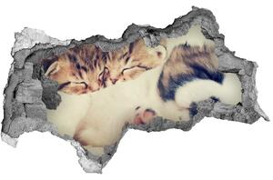 Diera 3D fototapeta na stenu Dve mačky a pes nd-b-78906407