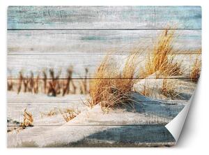 Fototapeta Plážové duny na dreve Materiál: Vliesová, Rozmery: 200 x 140 cm