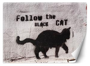 Fototapeta Čierna mačka - sledovať čiernu mačku, betón Materiál: Vliesová, Rozmery: 200 x 140 cm