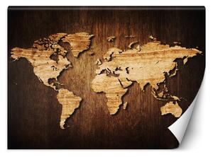 Fototapeta Mapa sveta na dreve Materiál: Vliesová, Rozmery: 200 x 140 cm