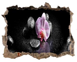 Samolepící díra na stěnu nálepka Orchidea nd-k-60629892