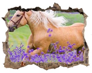 Díra 3D fototapeta Kôň v poli levandule nd-k-84450910