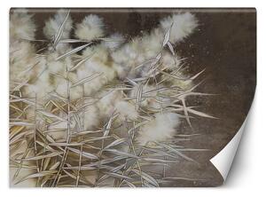 Fototapeta Pampas grass, boho Materiál: Vliesová, Rozmery: 200 x 140 cm