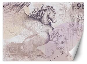 Fototapeta Pegasus, okrídlený kôň, abstraktné Materiál: Vliesová, Rozmery: 200 x 140 cm