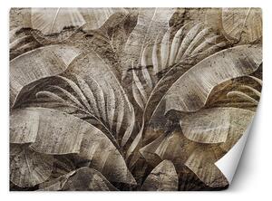 Fototapeta Tropické listy na textúre imitujúcej betón Materiál: Vliesová, Rozmery: 200 x 140 cm