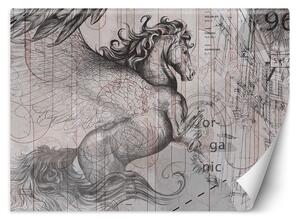 Fototapeta Pegasus - vystrašený kôň na abstraktnej grafike Materiál: Vliesová, Rozmery: 200 x 140 cm