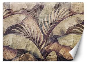 Fototapeta Palmové listy, džungľa na imitácii betónu Materiál: Vliesová, Rozmery: 200 x 140 cm