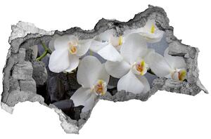 Samolepiaca nálepka fototapeta Orchidea nd-b-143985624