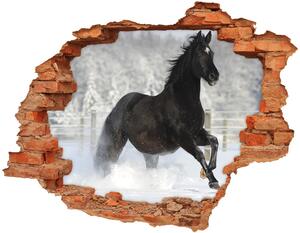 Fototapeta diera na stenu Cválajícím koni sneh