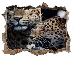 Díra 3D fototapeta na stěnu Dva leopardy nd-k-109930645