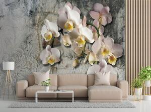 Fototapeta Kvitnúce orchidey na pozadí starej steny Materiál: Vliesová, Rozmery: 200 x 140 cm