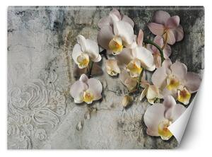 Fototapeta Kvitnúce orchidey na pozadí starej steny Materiál: Vliesová, Rozmery: 200 x 140 cm