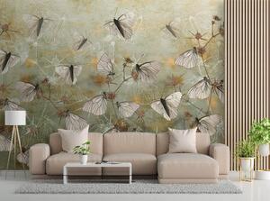 Fototapeta Motýle na pozadí starej steny Materiál: Vliesová, Veľkosť: 100 x 70 cm