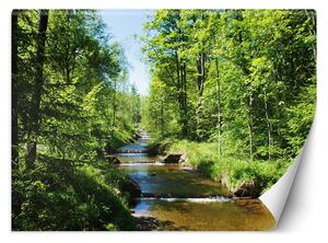 Fototapeta Rieka v zelenom lese Materiál: Vliesová, Rozmery: 200 x 140 cm
