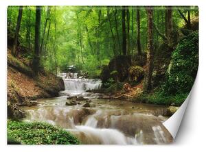 Fototapeta Voda uprostred lesa Materiál: Vliesová, Rozmery: 200 x 140 cm