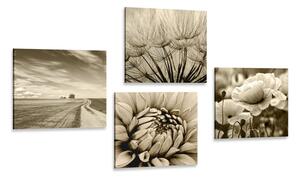 Set obrazov pole s kvetmi v sépiovom prevedení