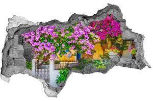 Fototapeta diera na stenu 3D Dom s popínavé rastliny