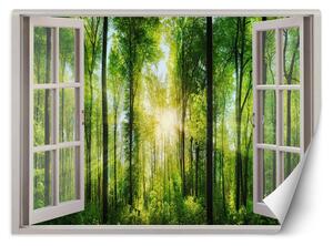 Fototapeta Okno - slnečné lúče v lese Materiál: Vliesová, Rozmery: 140 x 100 cm