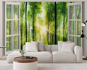 Fototapeta Okno - slnečné lúče v lese Materiál: Vliesová, Rozmery: 140 x 100 cm