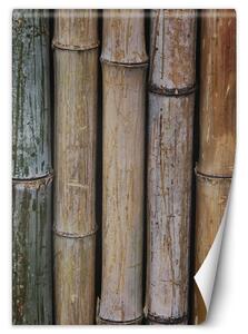 Fototapeta Pastelové stonky bambusu Materiál: Vliesová, Rozmery: 100 x 140 cm