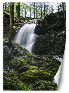 Fototapeta Vodopád uprostred lesa Materiál: Vliesová, Rozmery: 100 x 140 cm