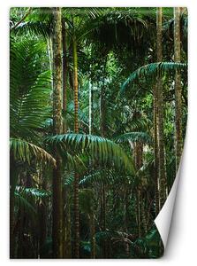 Fototapeta Tropické stromy na ostrove Materiál: Vliesová, Rozmery: 100 x 140 cm