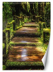 Fototapeta Most v zelenom lese Materiál: Vliesová, Rozmery: 100 x 140 cm