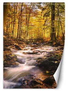 Fototapeta Jesenný vodopád Materiál: Vliesová, Rozmery: 100 x 140 cm