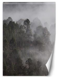 Fototapeta Zelený les v hmle Materiál: Vliesová, Rozmery: 100 x 140 cm