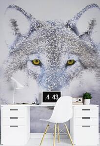 Fototapeta Portrét vlka v zime Materiál: Vliesová, Rozmery: 100 x 140 cm