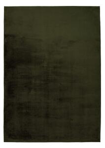 Dekorstudio Kožušinový koberec TOPIA - tmavo zelený Rozmer koberca: 200x290cm