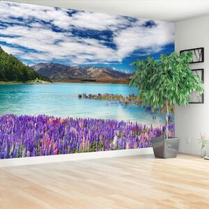 Fototapeta Vliesová Jazero nový zéland 152x104 cm