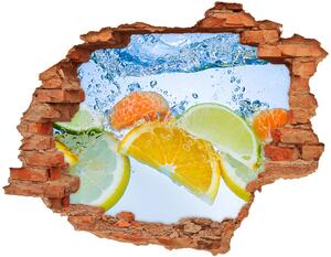 Fototapeta diera na stenu 3D Citrus pod vodou nd-c-61997727