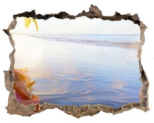 Nálepka fototapeta 3D výhled Mušle na pláži