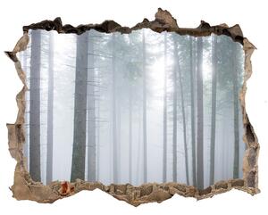 Nálepka fototapeta 3D výhled Hmla v lese nd-k-74026356