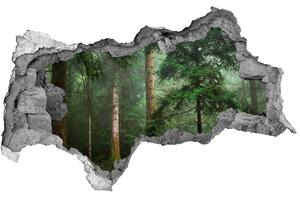 Diera 3D foto tapeta nálepka Hmla v lese nd-b-95330664