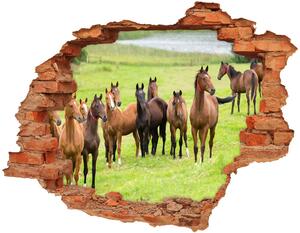 Nálepka 3D diera na stenu Stádo koní na lúke