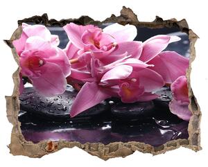 Samolepící nálepka na zeď Ružová orchidea