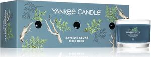 Yankee Candle Bayside Cedar darčeková sada